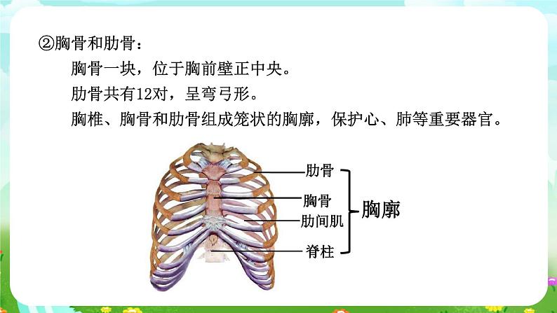 华师大版科学九下 4.2《运动与健康》第1课时 课件第7页