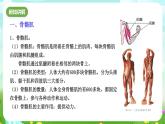 华师大版科学九下 4.2《运动与健康》第2课时 课件+教案+学案+素材