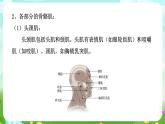 华师大版科学九下 4.2《运动与健康》第2课时 课件+教案+学案+素材