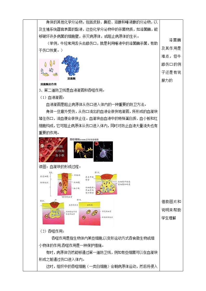 华师大版科学九下 4.3《免疫与健康》第1课时 教案第3页
