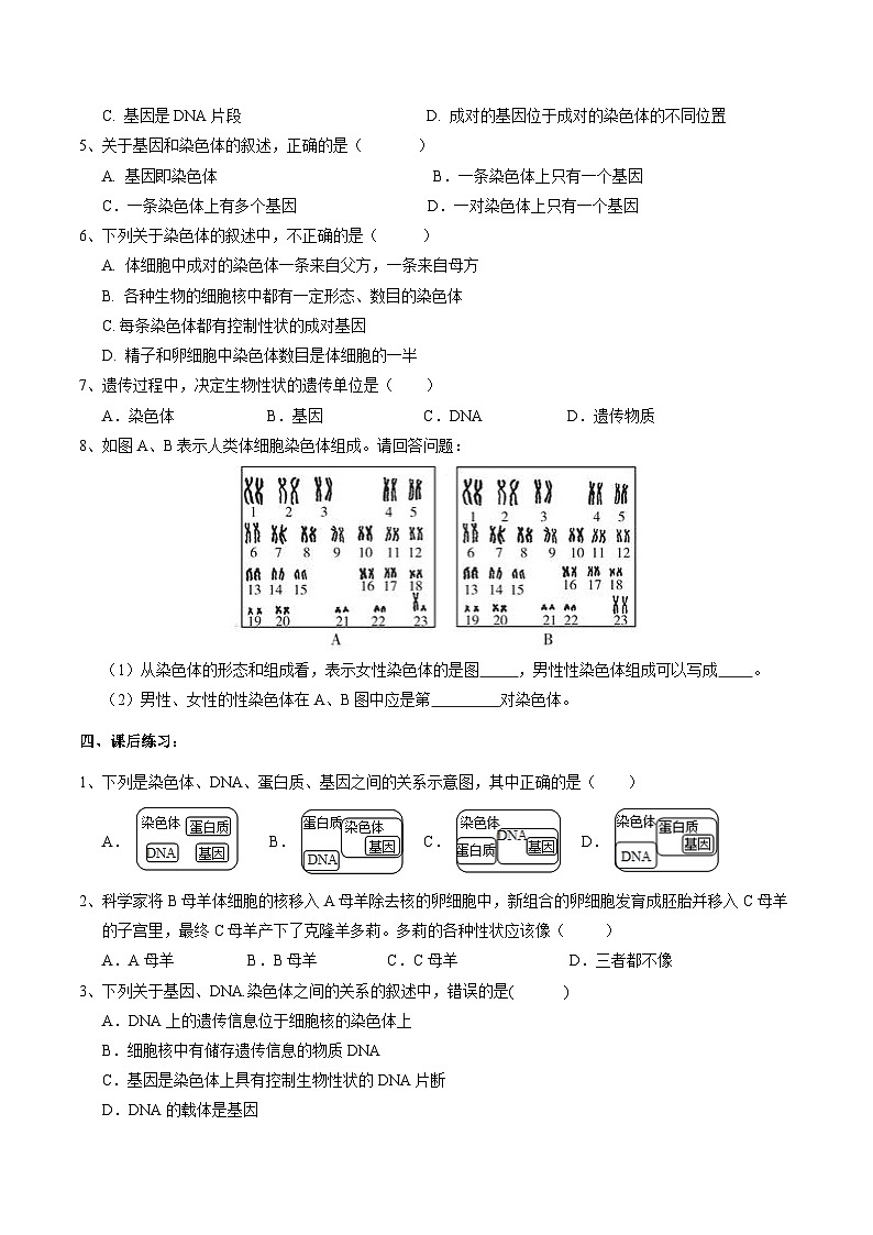 华师大版科学九下 5.1《生物的遗传》第1课时 学案第3页