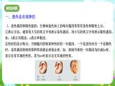 华师大版科学九下 5.1《生物的遗传》第2课时 课件+教案+学案+素材