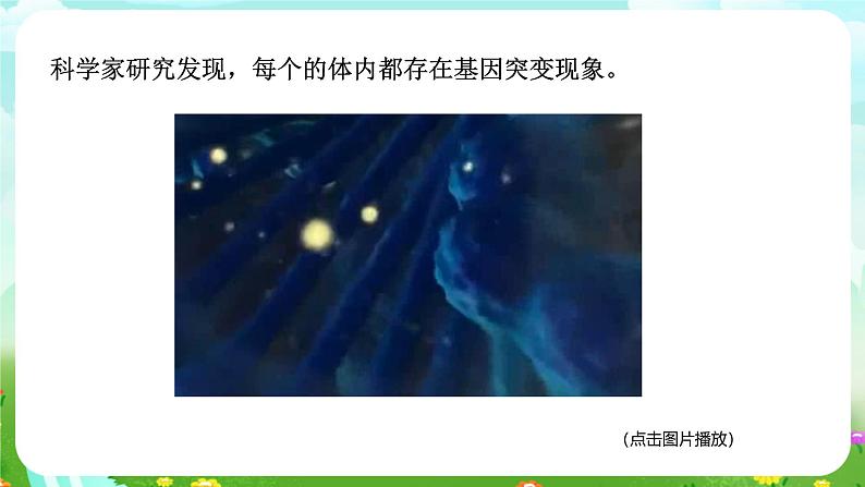 华师大版科学九下 5.2《生物的变异》第1课时 课件第7页