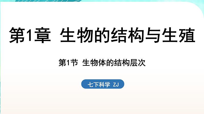 浙教版(2024）科学七年级下册 1.1 生物体的结构层次 （课件）第1页