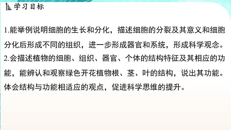 浙教版(2024）科学七年级下册 1.1 生物体的结构层次 （课件）第2页