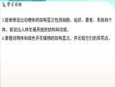 浙教版(2024）科学七年级下册 1.1 生物体的结构层次 （课件）