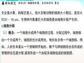 浙教版(2024）科学七年级下册 1.1 生物体的结构层次 （课件）