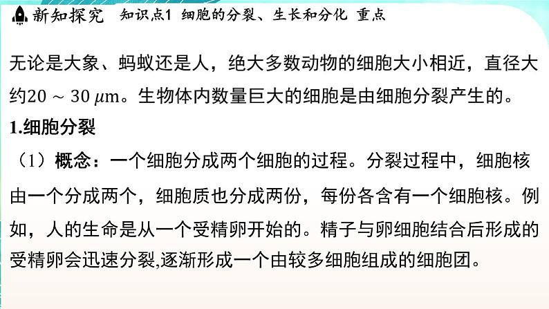 浙教版(2024）科学七年级下册 1.1 生物体的结构层次 （课件）第4页