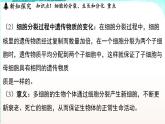 浙教版(2024）科学七年级下册 1.1 生物体的结构层次 （课件）