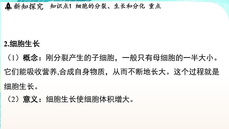 浙教版(2024）科学七年级下册 1.1 生物体的结构层次 （课件）第6页