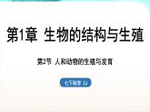 浙教版(2024）科学七年级下册 1.2 人和动物的生殖与发育 （课件）