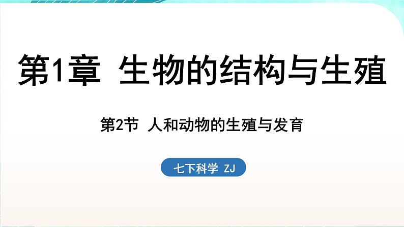 浙教版(2024）科学七年级下册 1.2 人和动物的生殖与发育 （课件）第1页