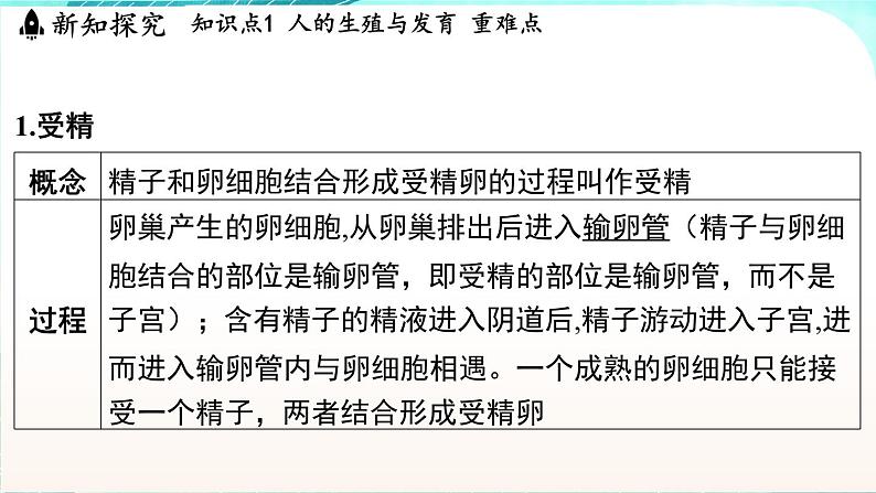 浙教版(2024）科学七年级下册 1.2 人和动物的生殖与发育 （课件）第3页