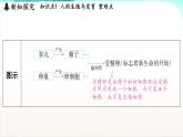 浙教版(2024）科学七年级下册 1.2 人和动物的生殖与发育 （课件）