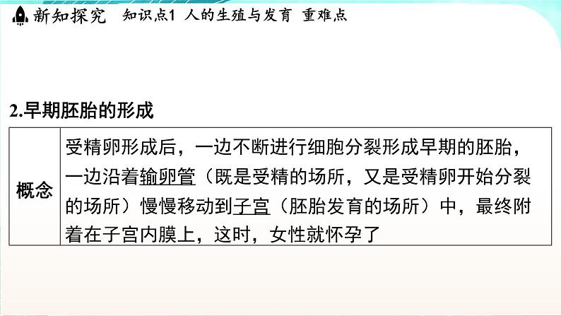 浙教版(2024）科学七年级下册 1.2 人和动物的生殖与发育 （课件）第5页