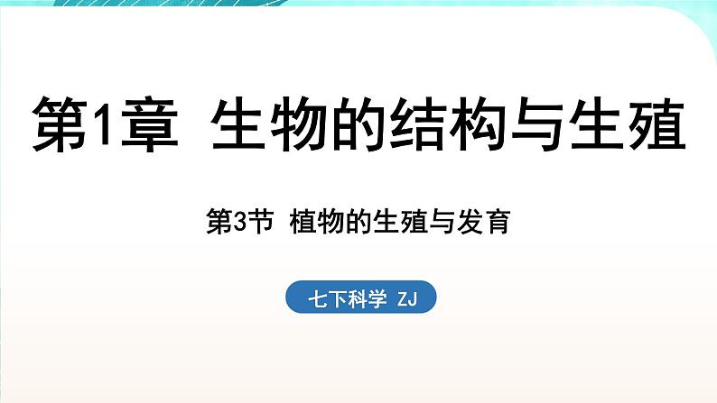 浙教版(2024）科学七年级下册 1.3 植物的生殖与发育 （课件）第1页