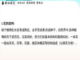 浙教版(2024）科学七年级下册 1.3 植物的生殖与发育 （课件）