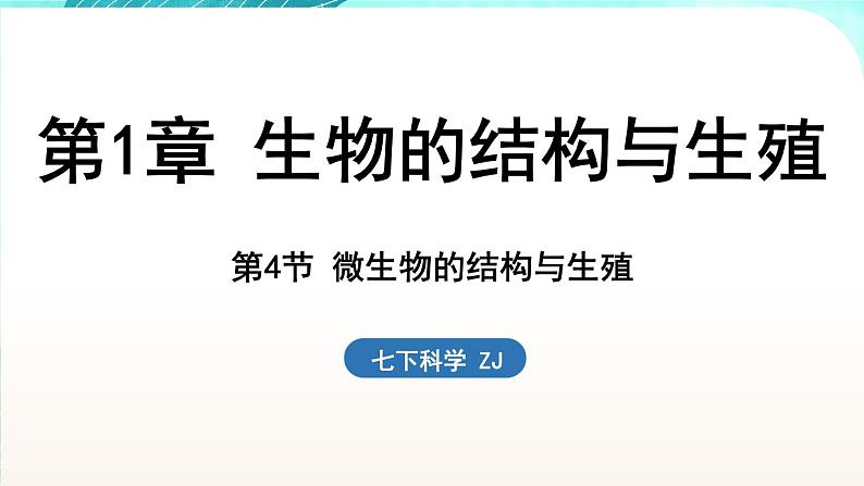 浙教版(2024）科学七年级下册 1.4 微生物的结构与生殖 （课件）第1页