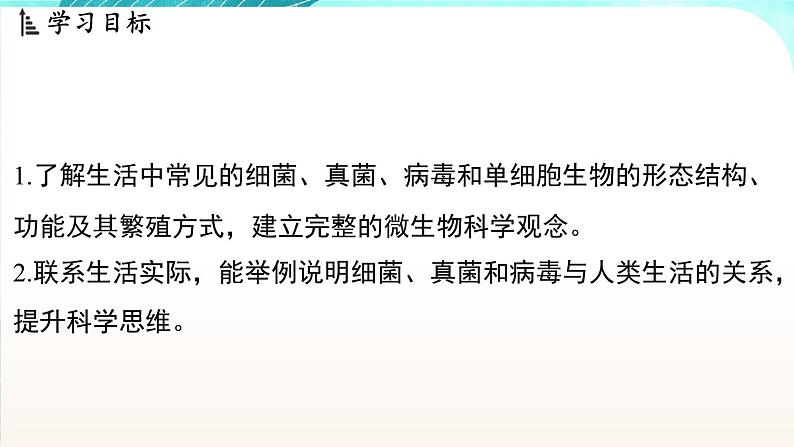 浙教版(2024）科学七年级下册 1.4 微生物的结构与生殖 （课件）第2页