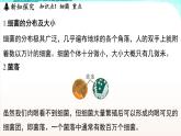 浙教版(2024）科学七年级下册 1.4 微生物的结构与生殖 （课件）