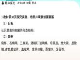 浙教版(2024）科学七年级下册 1.4 微生物的结构与生殖 （课件）