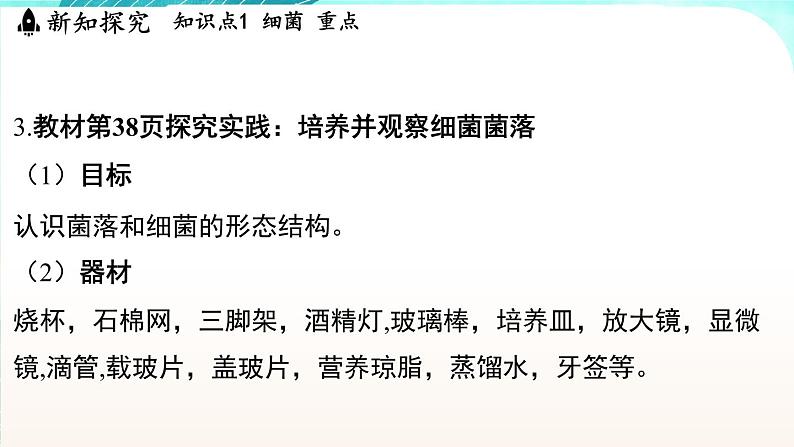 浙教版(2024）科学七年级下册 1.4 微生物的结构与生殖 （课件）第4页