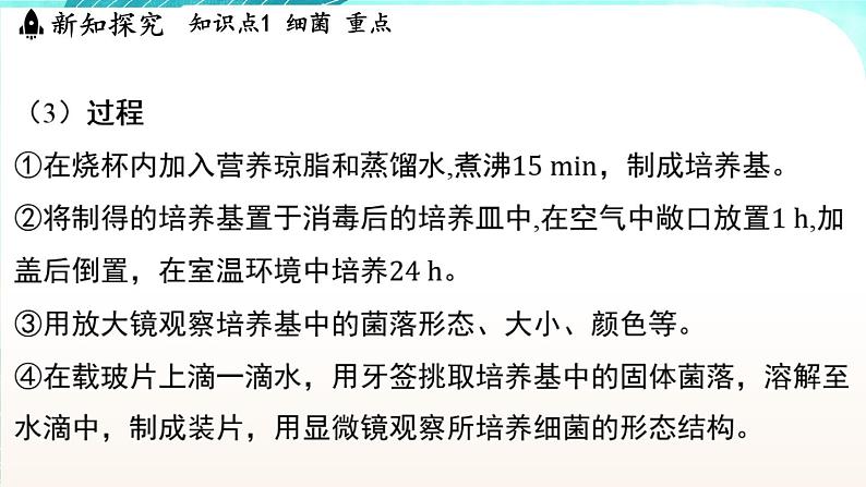 浙教版(2024）科学七年级下册 1.4 微生物的结构与生殖 （课件）第5页