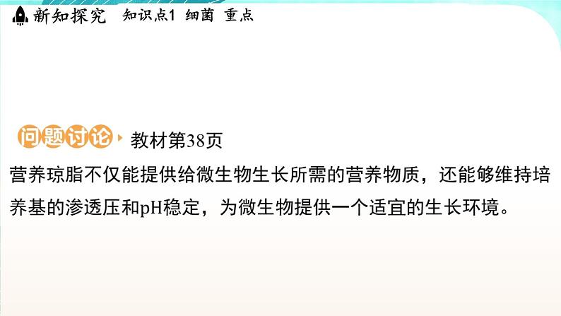 浙教版(2024）科学七年级下册 1.4 微生物的结构与生殖 （课件）第6页