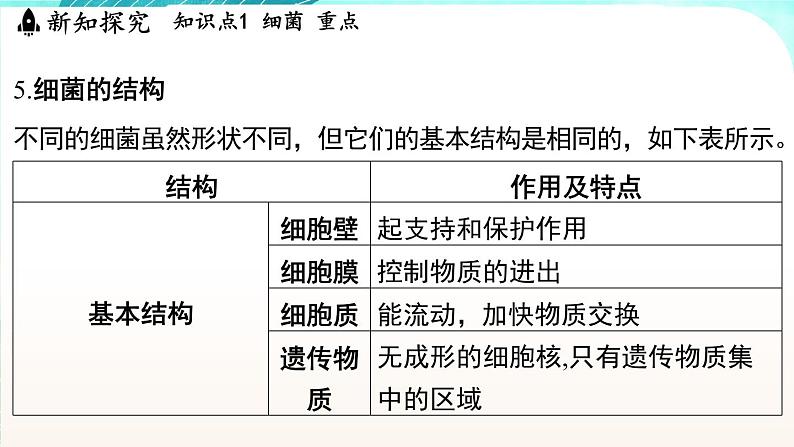 浙教版(2024）科学七年级下册 1.4 微生物的结构与生殖 （课件）第8页