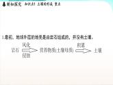 浙教版(2024）科学七年级下册 4.2 土壤的结构和质地 （课件）