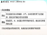 浙教版(2024）科学七年级下册 4.2 土壤的结构和质地 （课件）