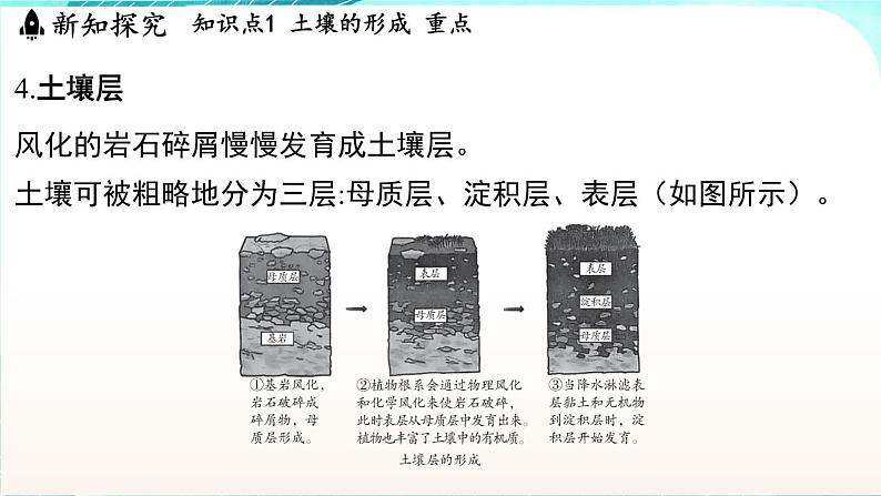 浙教版(2024）科学七年级下册 4.2 土壤的结构和质地 （课件）第7页