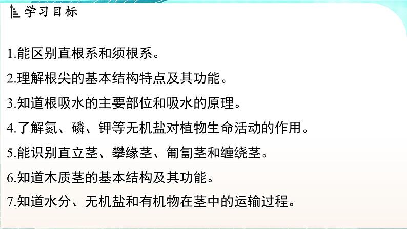 浙教版(2024）科学七年级下册 4.3 土壤与植物生长 （课件）第2页