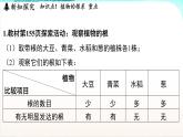 浙教版(2024）科学七年级下册 4.3 土壤与植物生长 （课件）