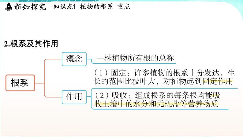 浙教版(2024）科学七年级下册 4.3 土壤与植物生长 （课件）第4页