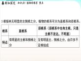浙教版(2024）科学七年级下册 4.3 土壤与植物生长 （课件）