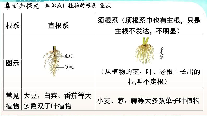 浙教版(2024）科学七年级下册 4.3 土壤与植物生长 （课件）第6页