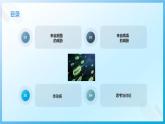【核心素养目标】浙教版初中科学 九年级下册3.2《来自微生物的威胁》课件