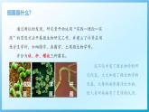 【核心素养目标】浙教版初中科学 九年级下册3.2《来自微生物的威胁》课件