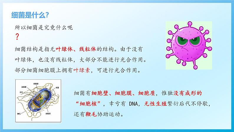 【核心素养目标】浙教版初中科学 九年级下册《来自微生物的威胁》ppt第6页