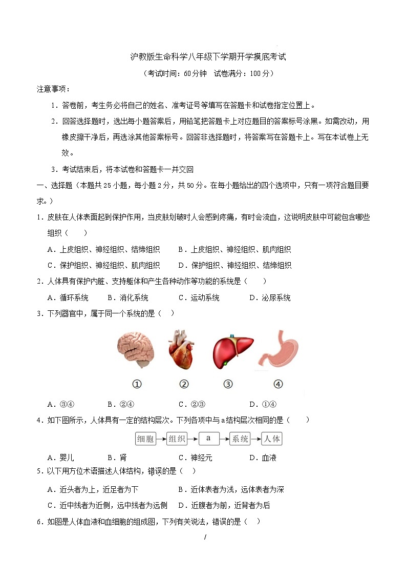 八年级生命科学开学摸底考（上海专用）（考试版）第1页