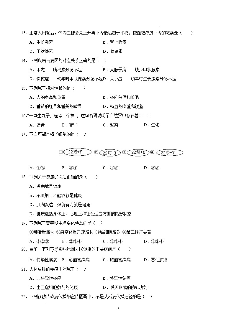 八年级生命科学开学摸底考（上海专用）（考试版）第3页