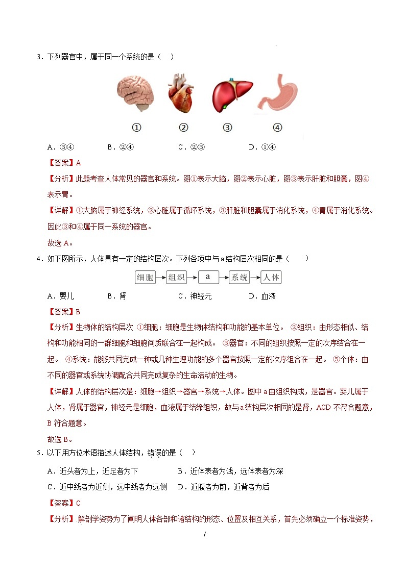 八年级生命科学开学摸底考（上海专用）（解析版）第2页