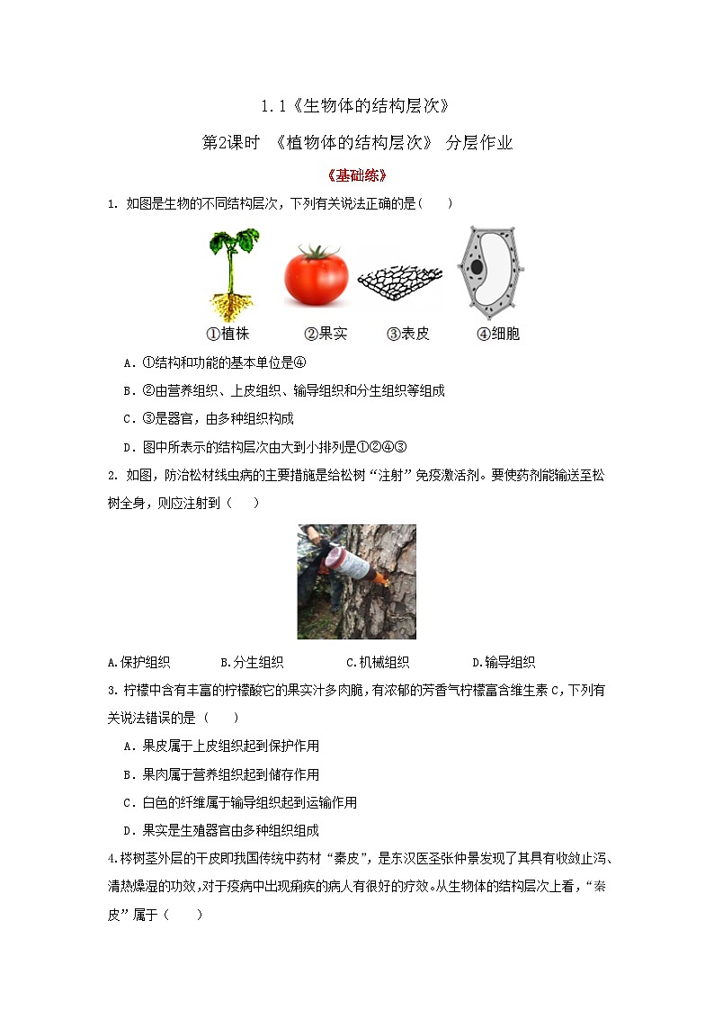 七下新浙教版（2025）初中科学 第一章生命的结构与生殖 1.2《生物体的结构层次》 第2课时 分层作业--原卷版第1页