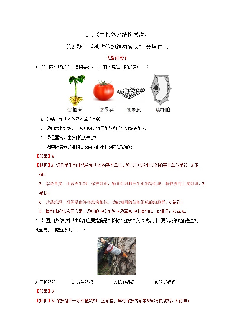 七下新浙教版（2025）初中科学 第一章生命的结构与生殖 1.2《生物体的结构层次》 第2课时 分层作业--解析版第1页