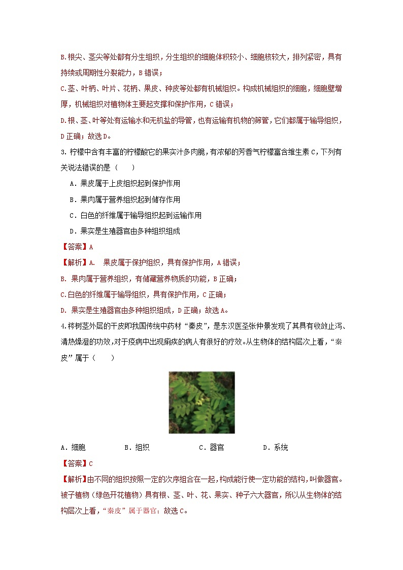 七下新浙教版（2025）初中科学 第一章生命的结构与生殖 1.2《生物体的结构层次》 第2课时 分层作业--解析版第2页