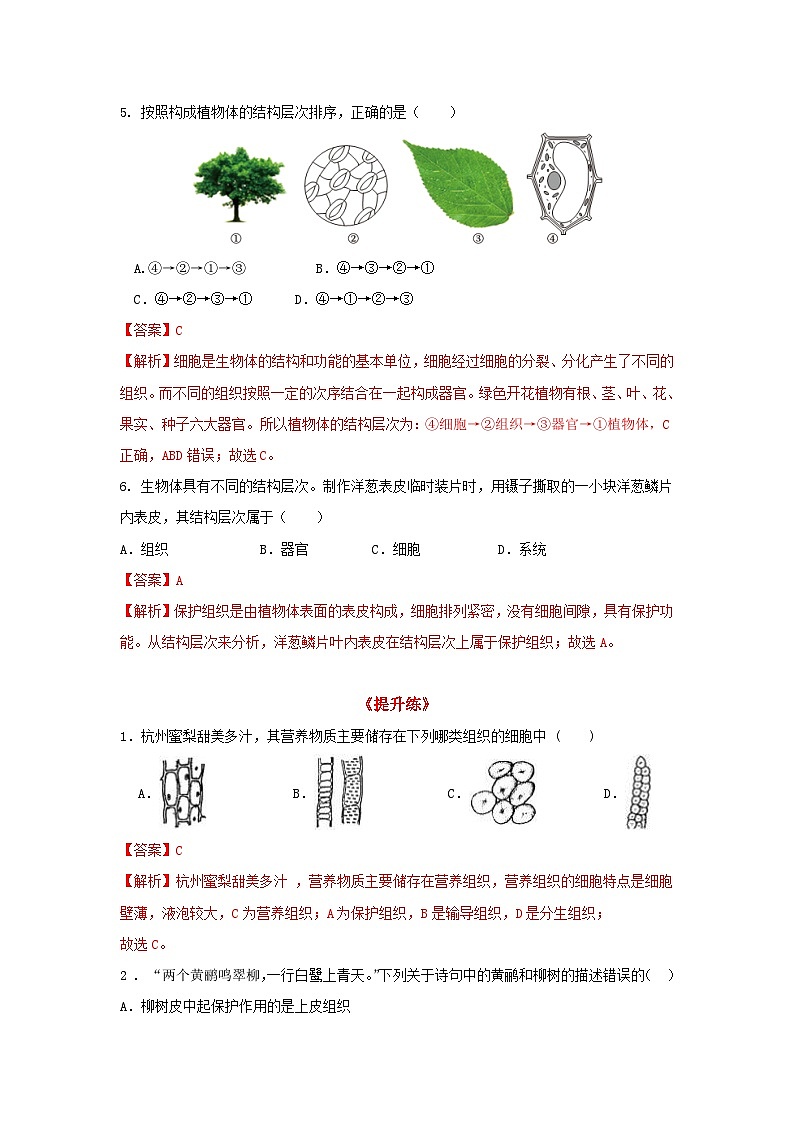七下新浙教版（2025）初中科学 第一章生命的结构与生殖 1.2《生物体的结构层次》 第2课时 分层作业--解析版第3页