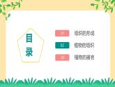 新浙教版（2024）七下科学 1.1《生物体的结构层次》课时2课件