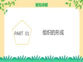 新浙教版（2024）七下科学 1.1《生物体的结构层次》课时2课件