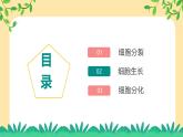 新浙教版（2024）七下科学 1.1《生物体的结构层次》课时1（课件+视频）